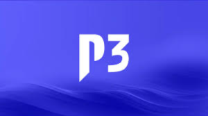 P3 Group